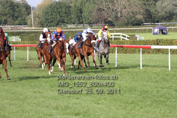 IMG 1552 600x400 prot