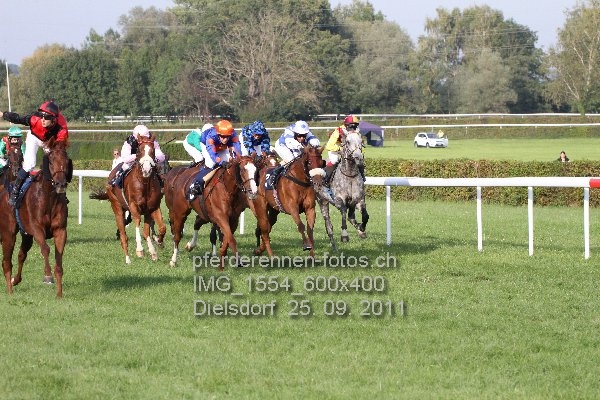 IMG 1554 600x400 prot
