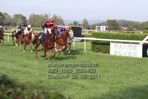 IMG 1563 600x400 prot