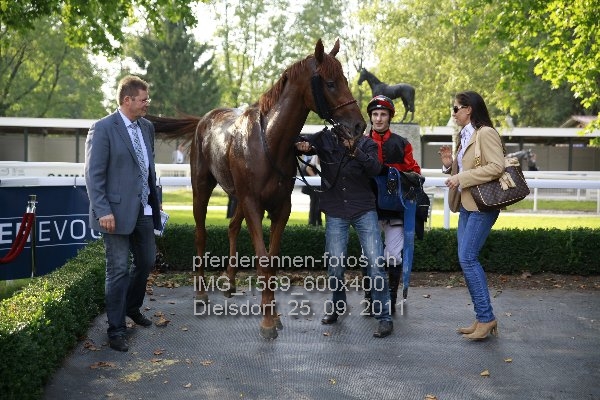 IMG 1569 600x400 prot
