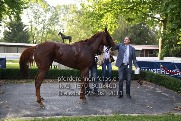 IMG 1570 600x400 prot