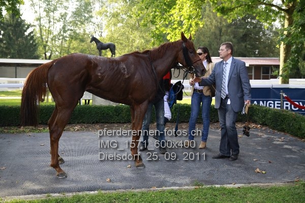 IMG 1571 600x400 prot