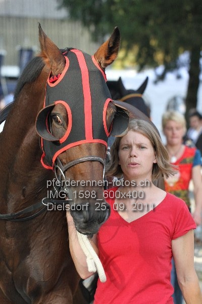 IMG 1598 600x400 prot