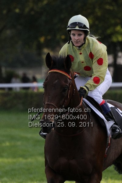 IMG 1629 600x400 prot