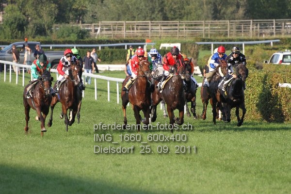 IMG 1660 600x400 prot