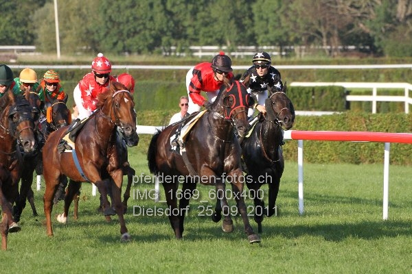 IMG 1669 600x400 prot