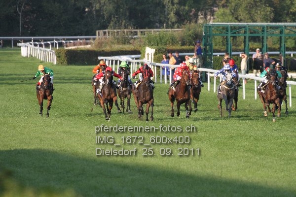 IMG 1672 600x400 prot