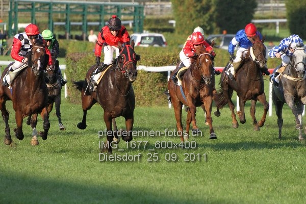 IMG 1677 600x400 prot