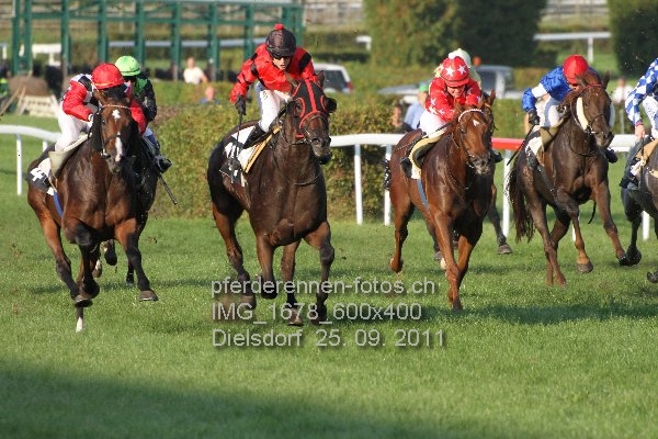 IMG 1678 600x400 prot