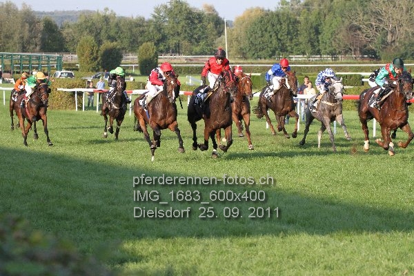 IMG 1683 600x400 prot