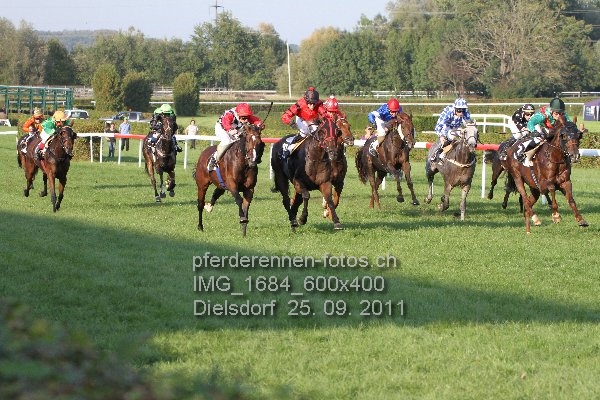 IMG 1684 600x400 prot
