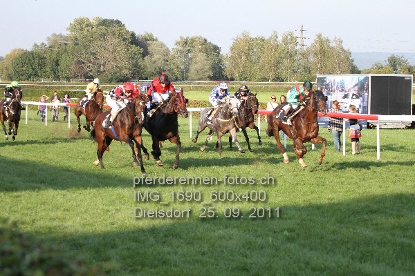 IMG 1690 600x400 prot