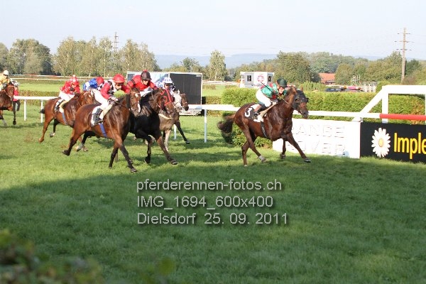 IMG 1694 600x400 prot