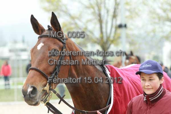 IMG 0005 prot