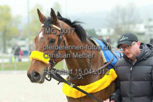 IMG 0017 prot