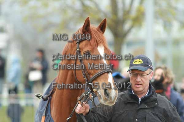 IMG 0019 prot