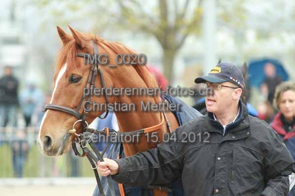 IMG 0020 prot