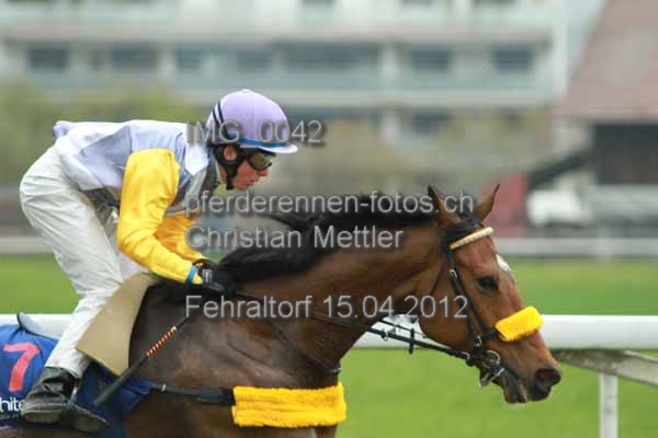 IMG 0042 prot