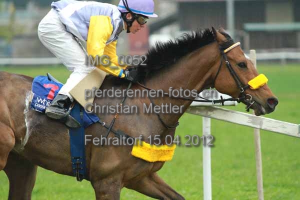 IMG 0052 prot