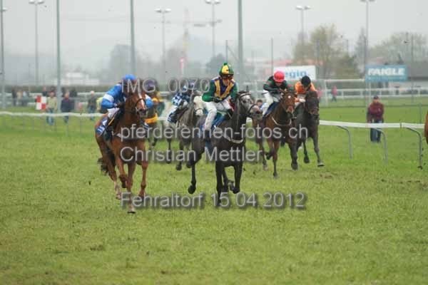 IMG 0070 prot