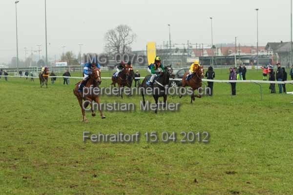 IMG 0076 prot
