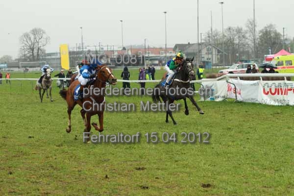 IMG 0081 prot