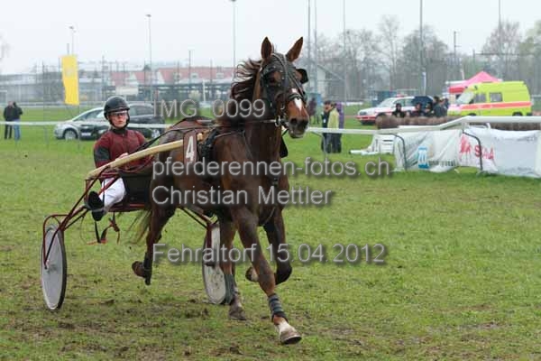 IMG 0099 prot