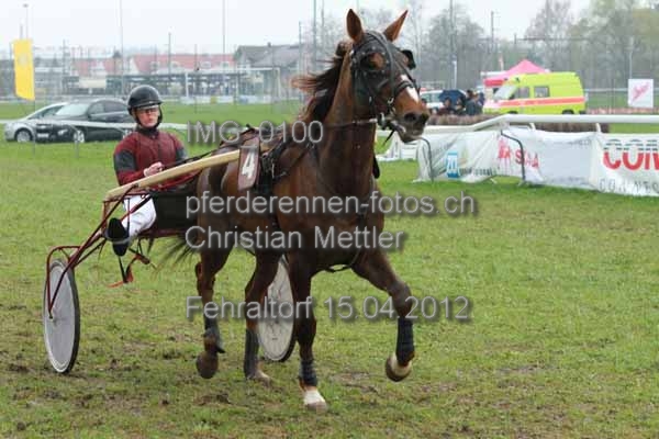 IMG 0100 prot