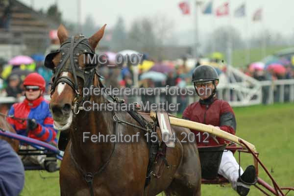 IMG 0107 prot