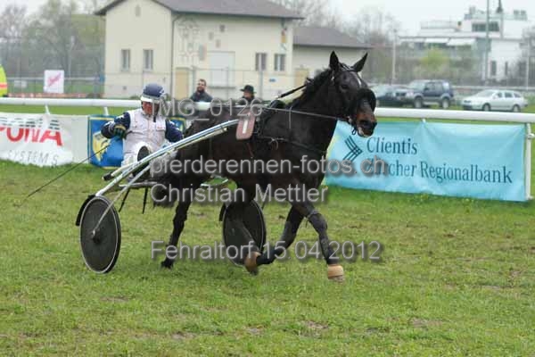 IMG 0126 prot