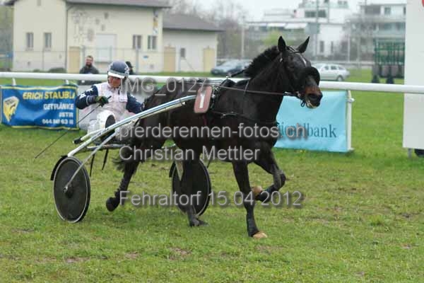 IMG 0127 prot