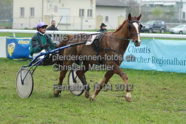 IMG 0132 prot