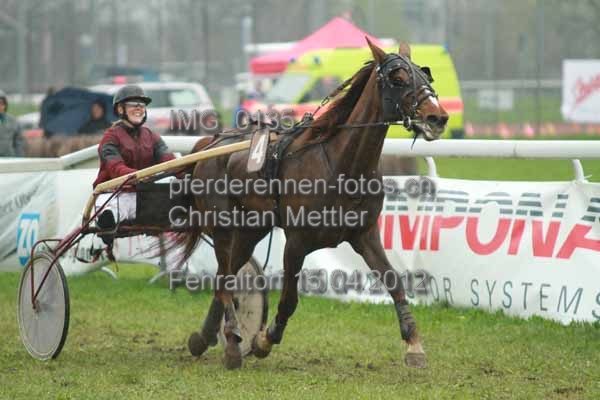 IMG 0135 prot