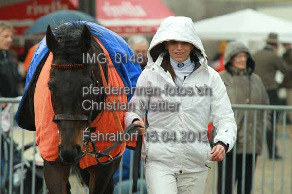 IMG 0148 prot