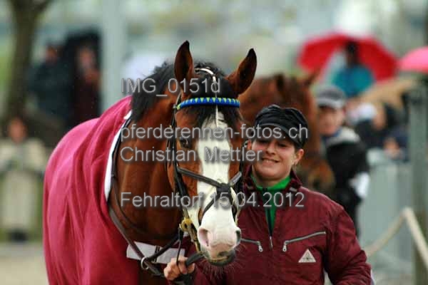 IMG 0151d prot