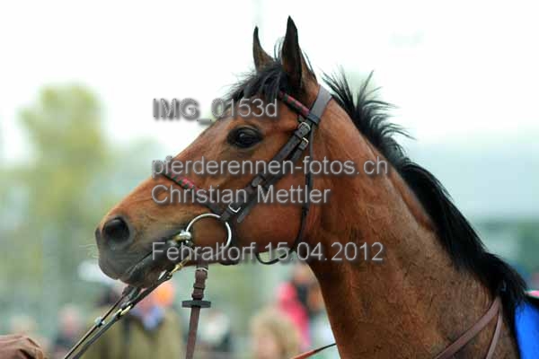 IMG 0153d prot