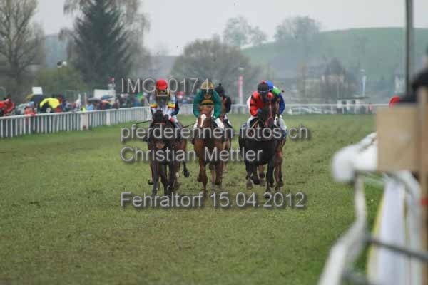 IMG 0174 prot
