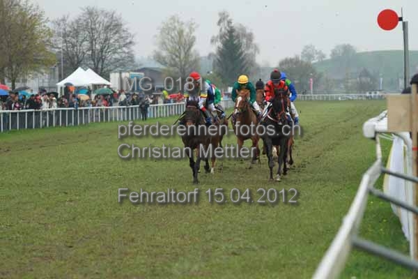 IMG 0181 prot