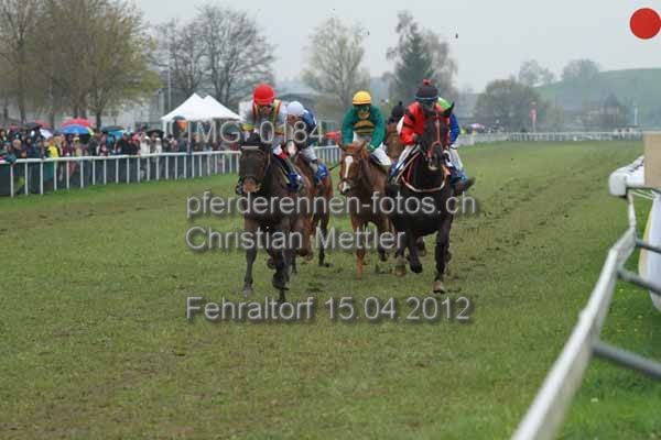 IMG 0184 prot