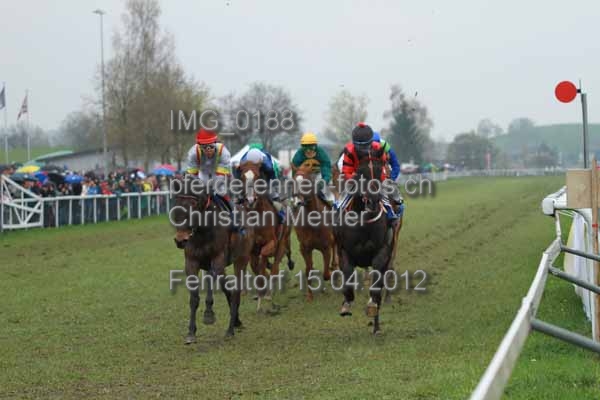 IMG 0188 prot