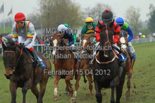 IMG 0190 prot