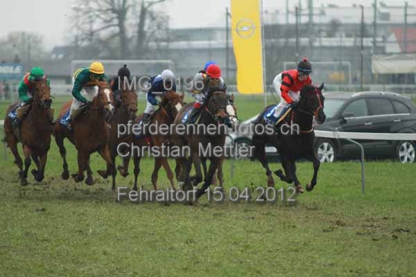IMG 0196 prot