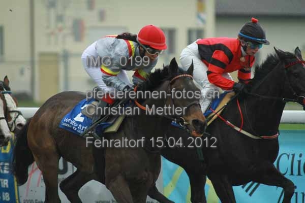 IMG 0199 prot