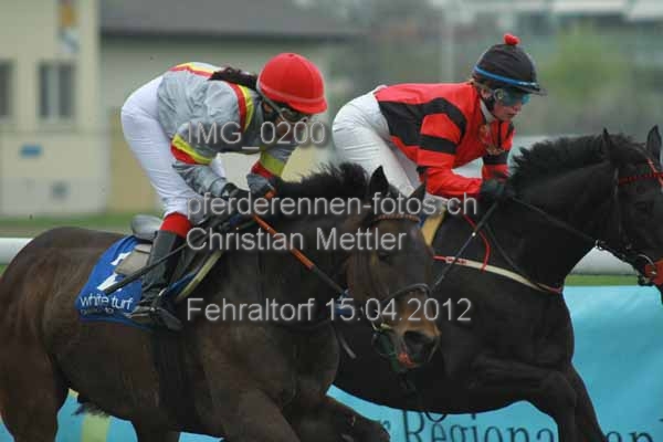 IMG 0200 prot