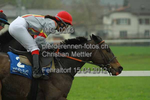 IMG 0203 prot