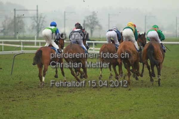 IMG 0207 prot