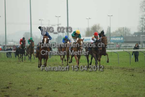 IMG 0213 prot