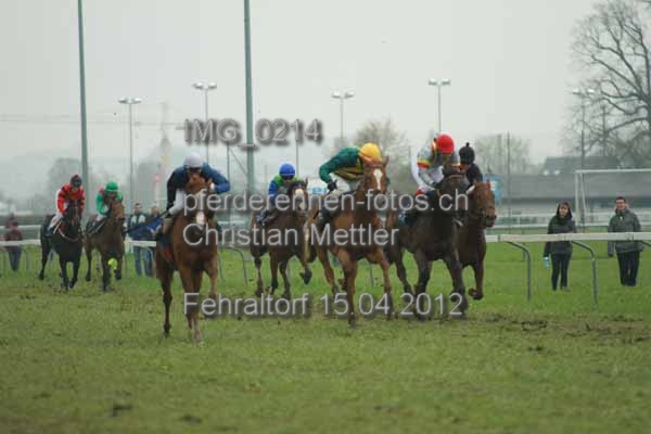 IMG 0214 prot