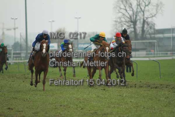 IMG 0217 prot