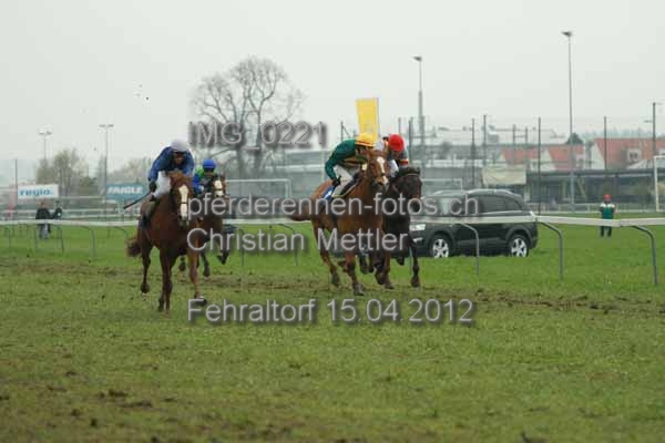 IMG 0221 prot